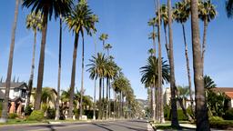 Beverly Hills car rentals