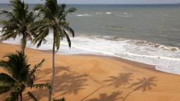 Find cheap flights from Sharjah to Colombo Bandaranaike Intl