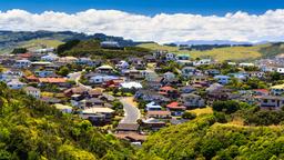 Find cheap flights to Wellington