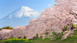 Hotels near Haneda airport