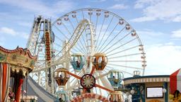 Wildwood hotels