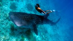 Maldives hotels