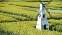 Find cheap flights to China