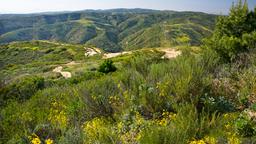 Find cheap flights to Orange County