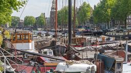Find cheap flights from Sharjah to Amsterdam