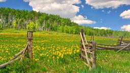 Find cheap flights to Colorado