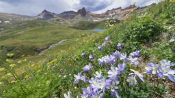 Find cheap flights to Colorado