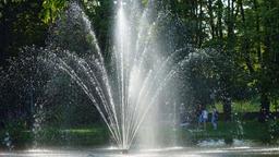 Find cheap flights from Dubai to Amsterdam
