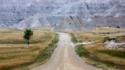 Find cheap flights to South Dakota
