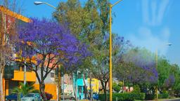 Hotels near Aguascalients airport