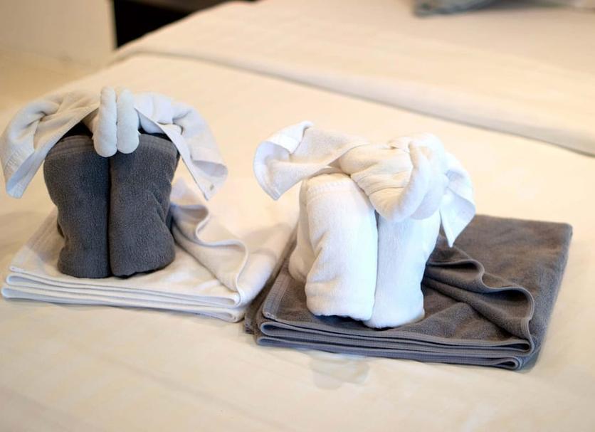 Room amenity Photo