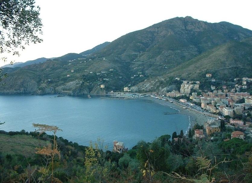 Other Photo
