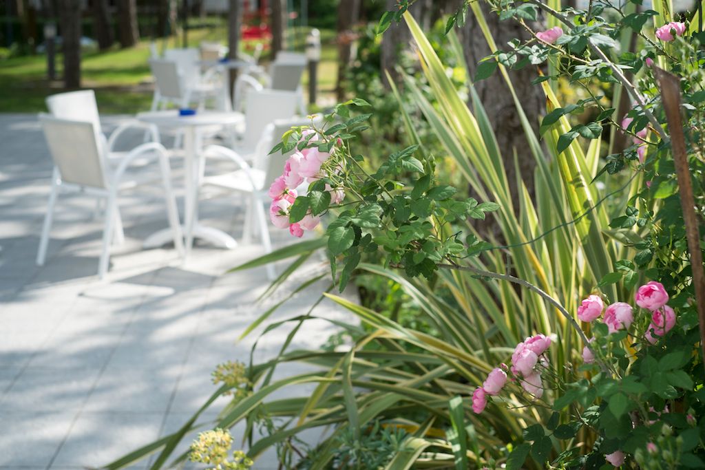 Outdoor view