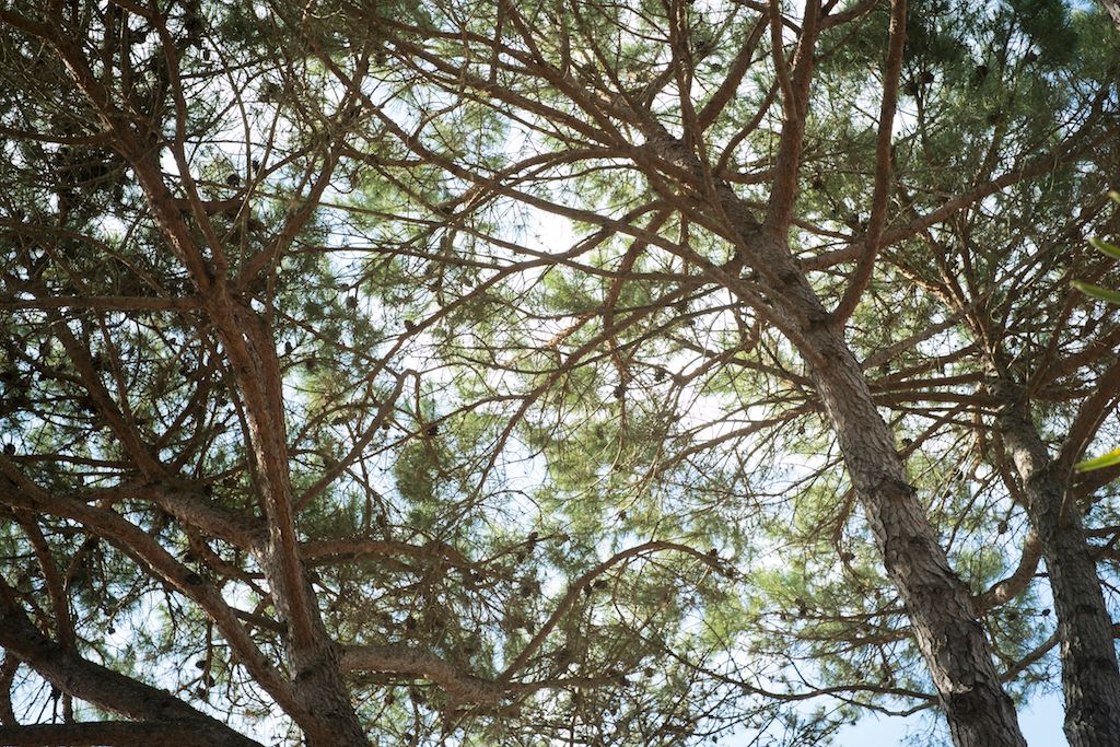 Outdoor view