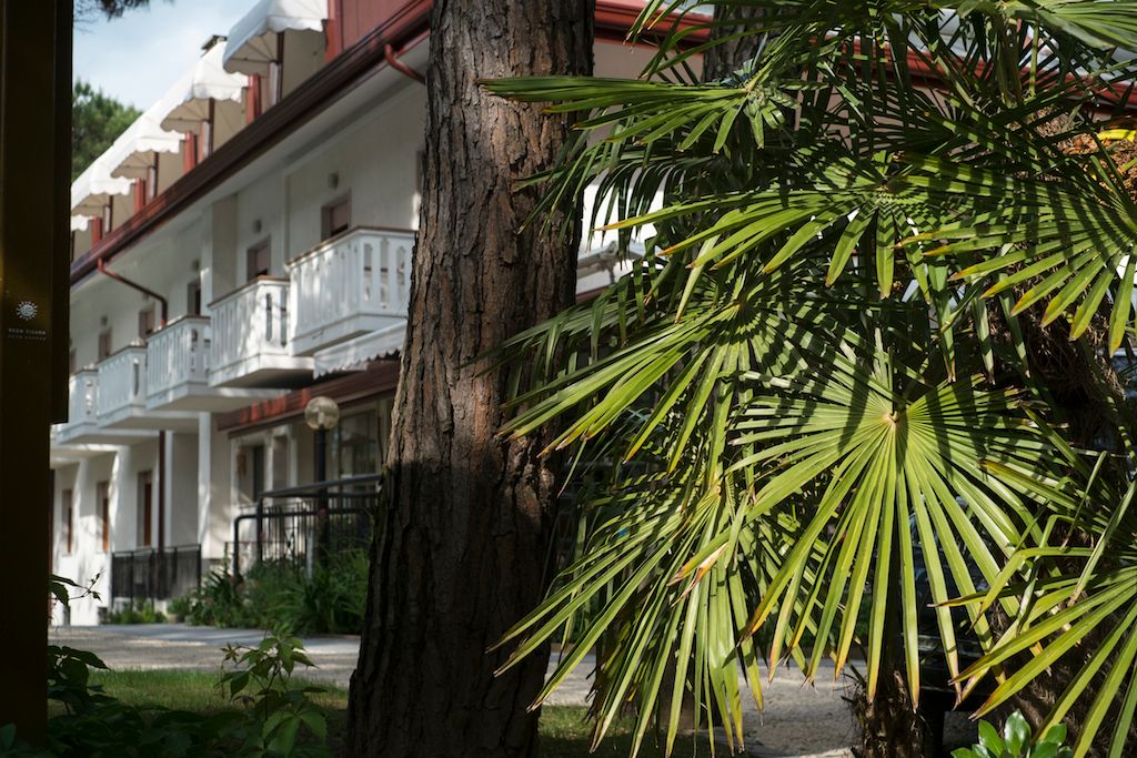 Outdoor view